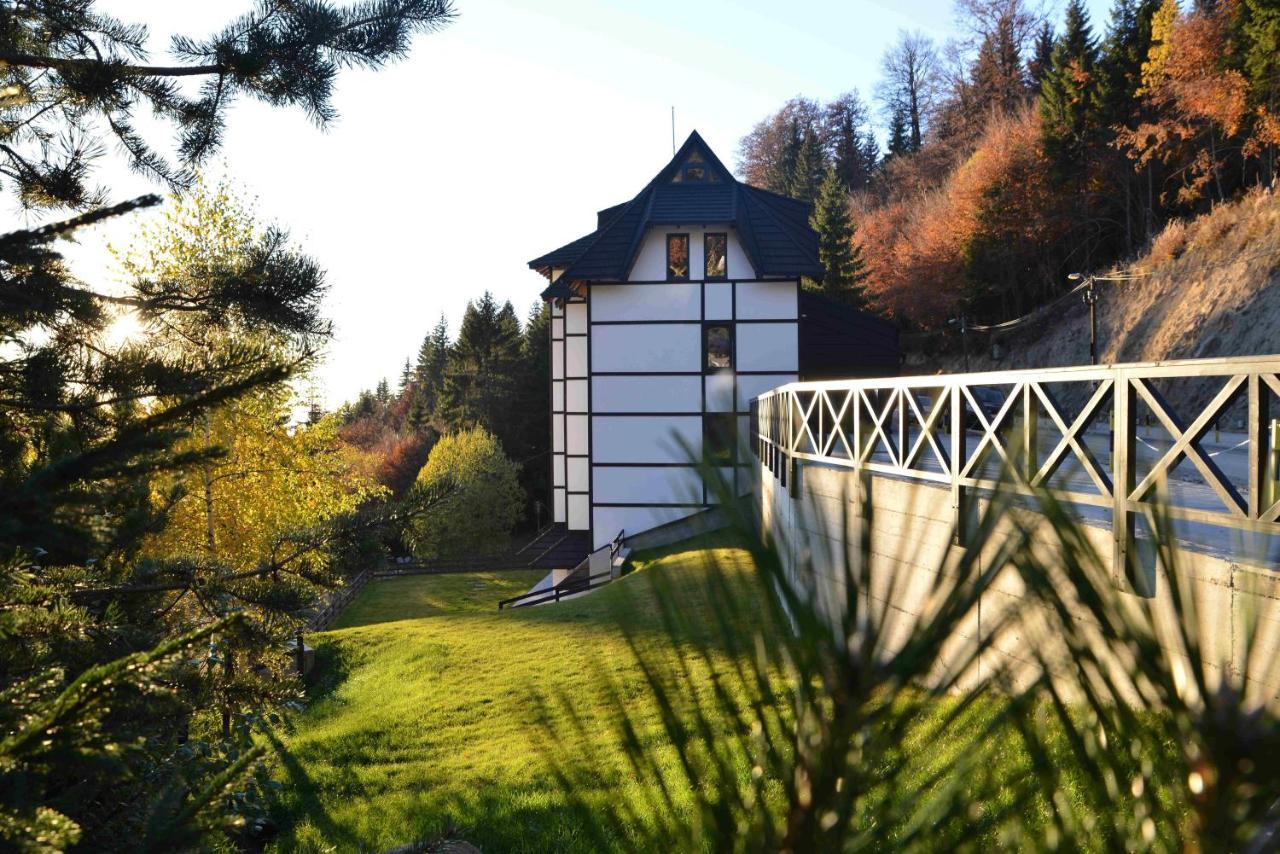 Vila Irina Kopaonik Exterior photo